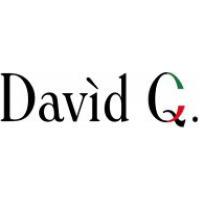 DAVID Q